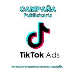 Campañas publicitaria para TikTok